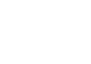 Visory-Records-Bianco-300x212
